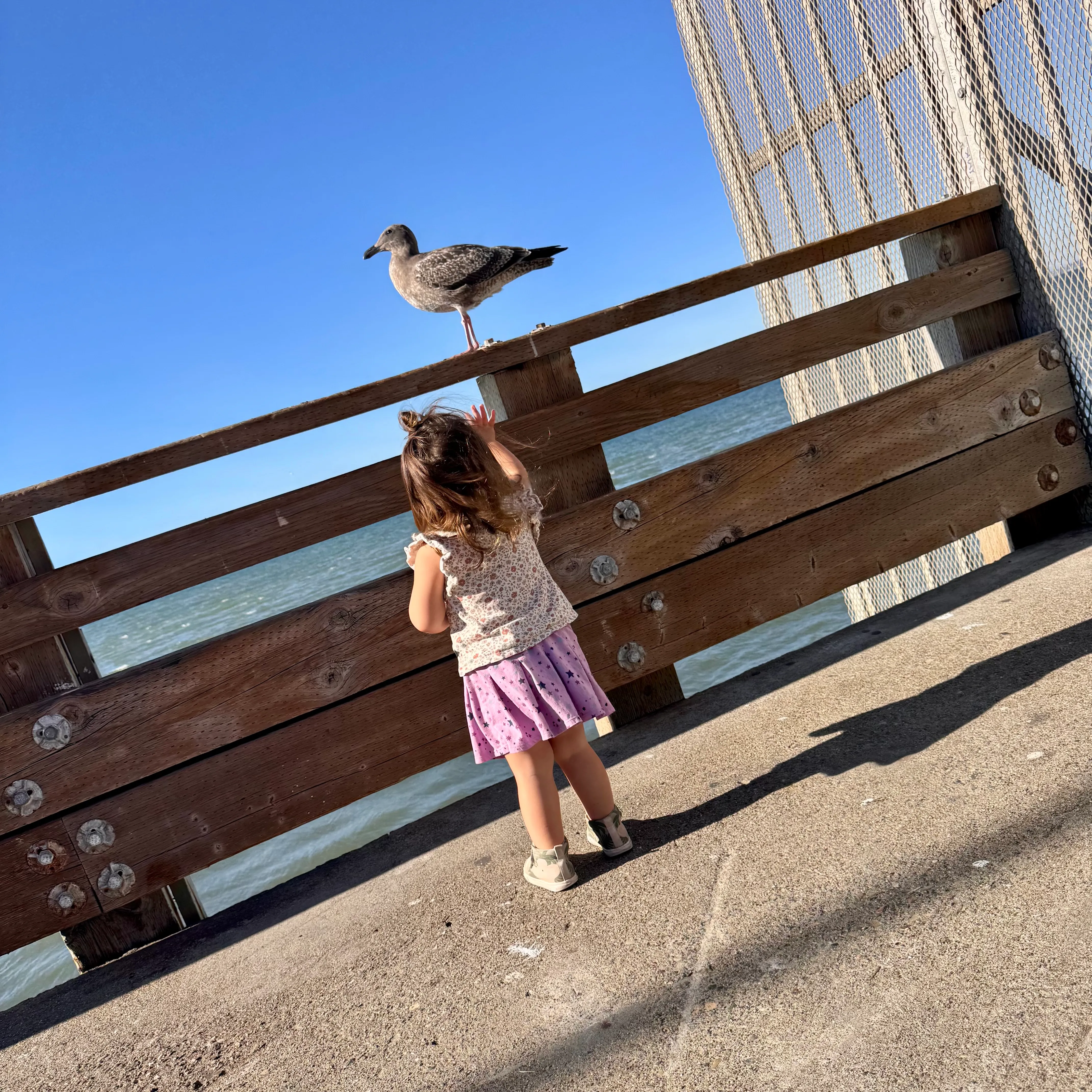 A toddler in a purple star-print skirt reaches up toward a seagull perched on a weathered wooden pier railing, the ocean behind her.